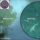 1953b001 Canon 82mm Circular Polarizing Filter