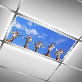 C.iopmnu 009317940614 2 Pack Fluorescent Light Cover For Classroom Giraffe Drop Ceiling Decorative