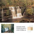 Cog4-h Cog4h Lee Filters Coral Grad