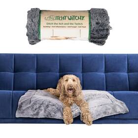 Dog Gone Smart 849670021478 Dgs Pet Products Itchy Witchy Essential Oils Blanket Medium Black 30 Inch X 40 Dog Gone Smart 849670021478 Dgs Pet Products Itchy Witchy Essential Oils Blanket Medium Black 30 Inch X 40