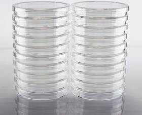 Pd1004m-10 Ez Bioresearch Sterile 100 Mm X 15 Petri Dish With Lid Vented 2 Pack Of 10 Fast Ship