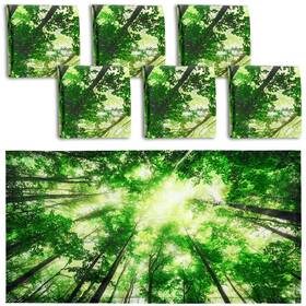 Hortsun-wa-11.08 Hortsun 6 Pcs Magnetic Fluorescent Light Covers 4 X 2 Feet Classroom Hortsun-wa-11.08 Hortsun 6 Pcs Magnetic Fluorescent Light Covers 4 X 2 Feet Classroom