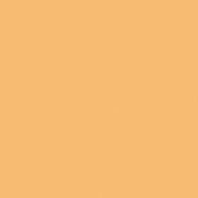 Ro3441 Rosco Cinegel #3441 Filter 20x24 Inch Sheet Full Straw Cts