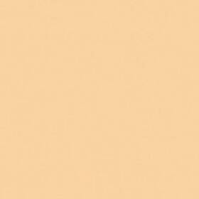 Ro3442 Rosco Cinegel #3442 Filter 20x24 Inch Sheet Half Straw 1/2 Cts