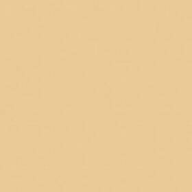 Rs340811 Rosco Un 1/2 Cto 20x24 Amber -
