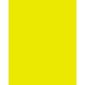 456508y2 Tiffen 049383019841 New 4x5.65 Inch Yellow 2 #8 Glass Filter For Black And White Film Mfr#456508y2