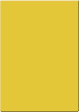 Tiffen 049383086287 Straw Solid Color Filter 4 X 5.65 Inch Grade 2 - Subdues Overly Bluish Cast