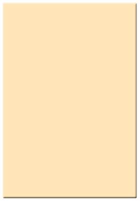 45650co2 Tiffen New 4 X 5.65 Inch - 2 Density Solid Warm Color Coloration Glass Filter