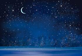Yeele Y2108bk09072 10x8ft Winter Night Snowfall Snowflake Photography Backdrops Starry Sky