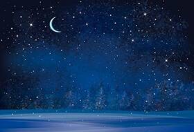 Yeele Y286bk09072 8x6ft Winter Night Snowfall Snowflake Photography Backdrops Starry Sky