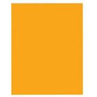Zprogelsho Adj Products Studio Recording Equipment Orange Sheet 819730014955