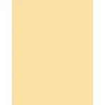 Tiffen X 5.65" Coral Solid Color Filter 45650CO2. Fixed Price $269.90.