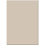 Tiffen Antique Pearlescent Filter (4 X 5.65", 1/4 Density) W4565APEARL14. Fixed Price $290.00.