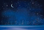 Yeele 8X6FT Winter Night Snowfall Snowflake Photography Backdrops Starry Sky .... Fixed Price $38.30.
