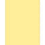 Tiffen X 5.65" 1/2 Coral Solid Color Filter 45650CO12. Fixed Price $269.90.