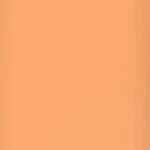 Lee 24X21" Gel Sheet. Fixed Price $27.67.