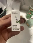 Gya Labs Tea Tree Essential Oil For Clear Skin 10ML - Pure Therapeutic Grade. Fixed Price $10.00.