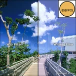 New Tiffen 4X4" Linear Polarizer Filter Mfr #4485BPOL. Fixed Price $299.95.