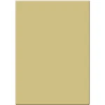 Tiffen X 5.65" Antique Suede 1/2 Filter 45650AS12. Fixed Price $480.00.