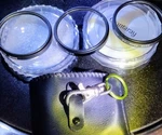 Hoya A, & D (S52FOGABGB) Mm Filter Kit Liyr. Please See All Photos. Fixed Price $20.00.
