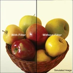 New Tiffen 4X5.65" Color Conversion Filter Mfr #4565080C. Fixed Price $350.00.
