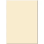 New Tiffen 4 X 5.65" Solid Tobacco 1/8 Filter - Adds Rich, Brown Tone. Fixed Price $450.00.
