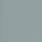 Lee Silver 24X21" Gel Sheet. Fixed Price $26.71.
