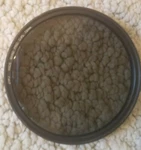 Camera 72MM DW1 Filter Uv Ultra-violet Lens Protector For Canon Nikon Zomei. Fixed Price $10.00.