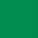 Lee Forest Green 24X21" Gel Sheet. Fixed Price $25.05.
