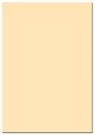 New 4X5.65" Tiffen Coral Solid Color Glass Filter Mfr #45650CO2. Fixed Price $399.95.