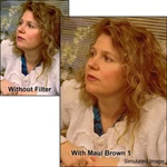 New Schneider 6.6X6.6" Maui Brown Solid Glass Filter MFR#68-224366. Fixed Price $550.00.